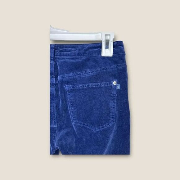 Pilcro and the Letterpress Velvet Corded Pants High Rise Skinny Size 27 - Picture 3 of 7